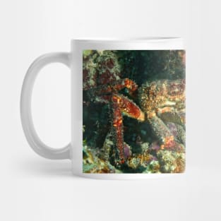 Caribbean King Crab Mug